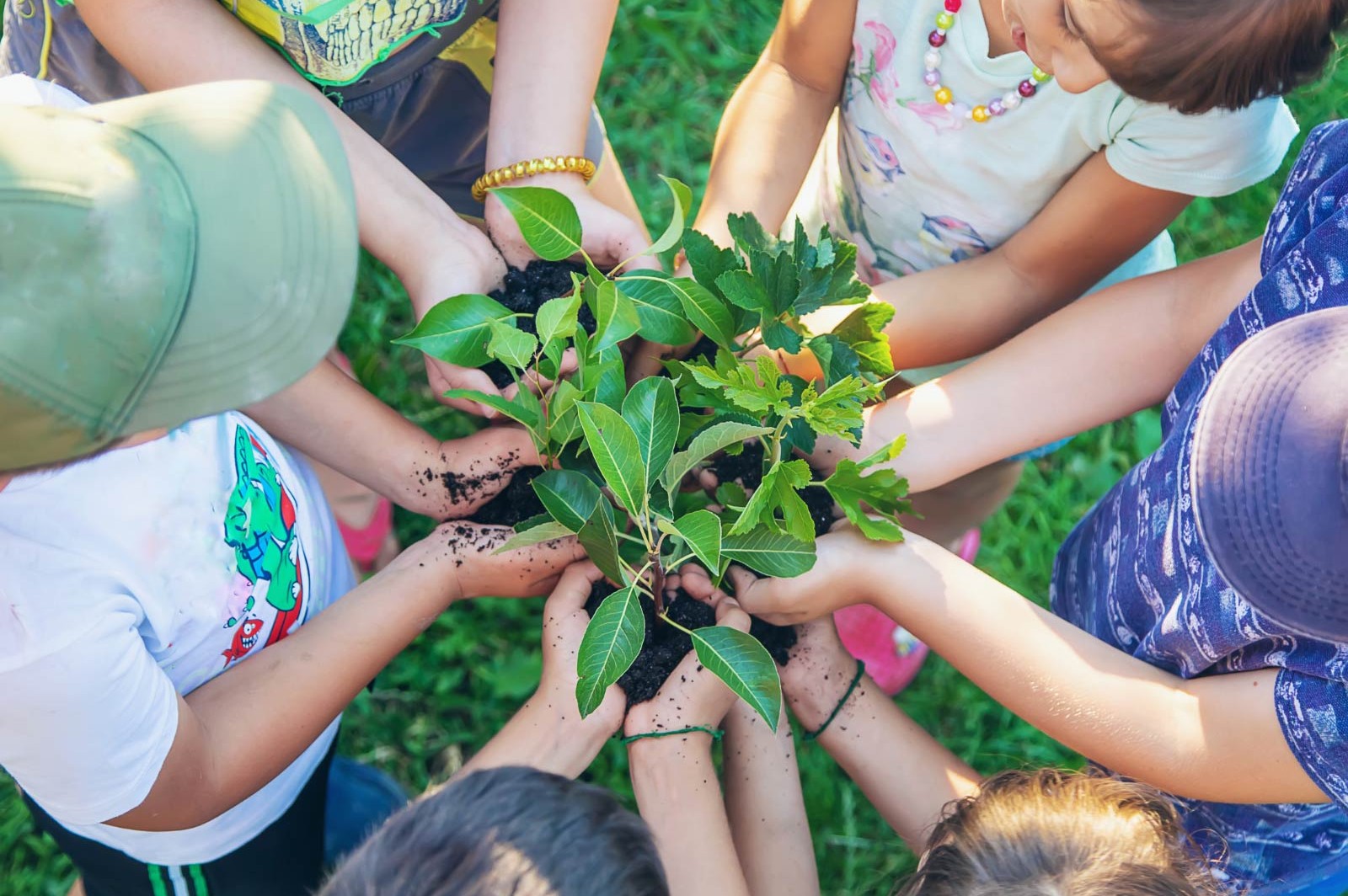 Green School Bali named a "2021 Best of Green Schools Awards" winner header image