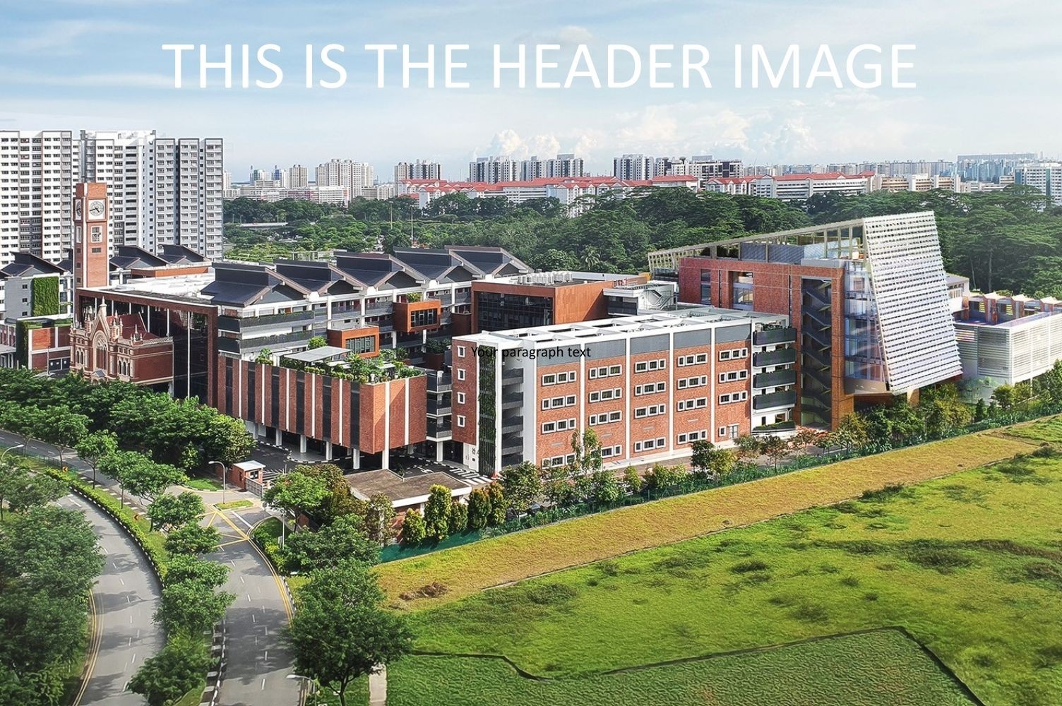 Content Block Examples header image